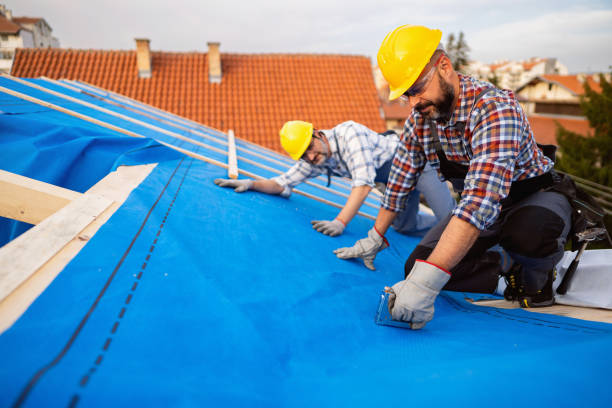 Best Metal Roofing Contractor  in Necedah, WI