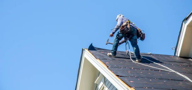 Best Emergency Roof Repair  in Necedah, WI